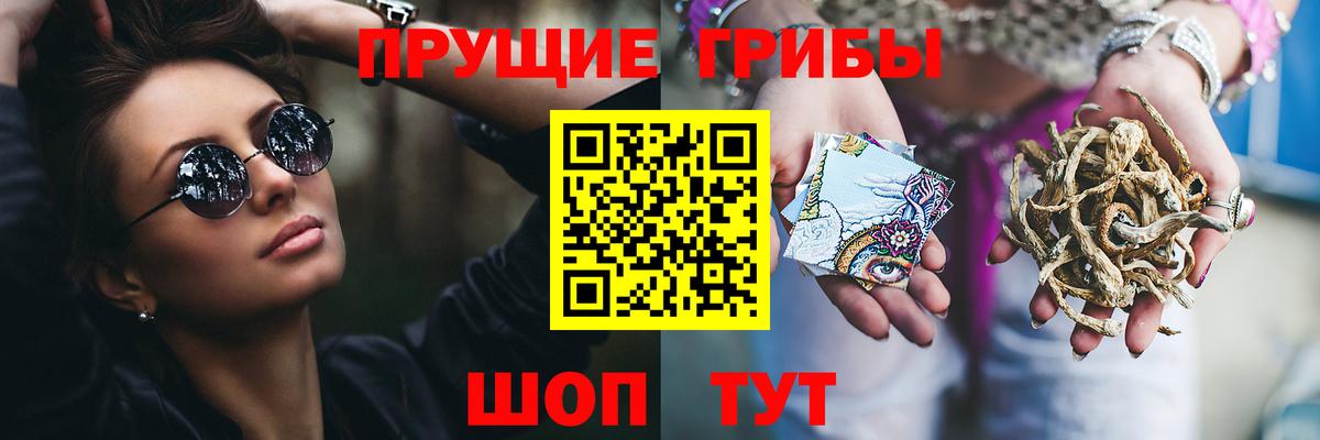 Светлоград  Псилоцибиновые грибы Cubensis  Вход с VPN 